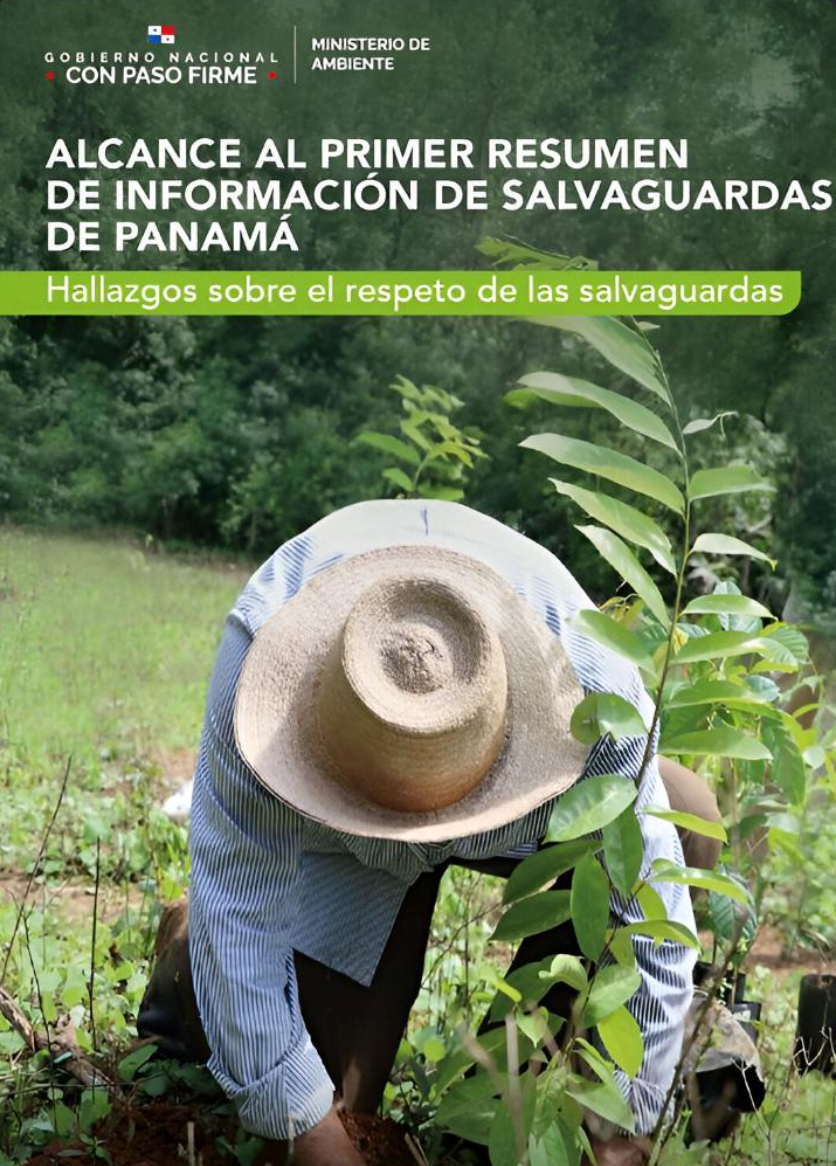 primer resumen de salvaguardas